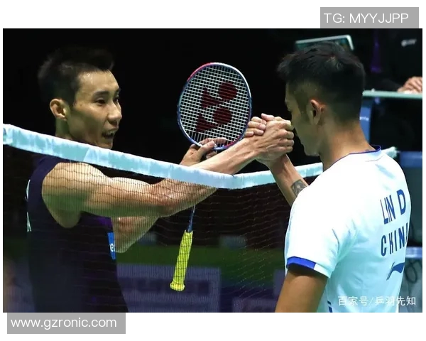 成都羽毛球队力量表现数据分析揭示运动员训练与比赛成绩的关系